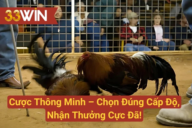 Bảng tỷ lệ cược tại 33WIN – cơ hội săn thưởng cực khủng!