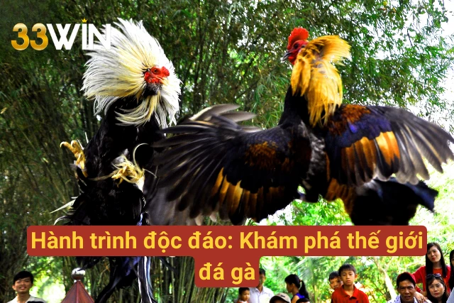 Hành trình khám phá độc đáo thế giới đá gà 