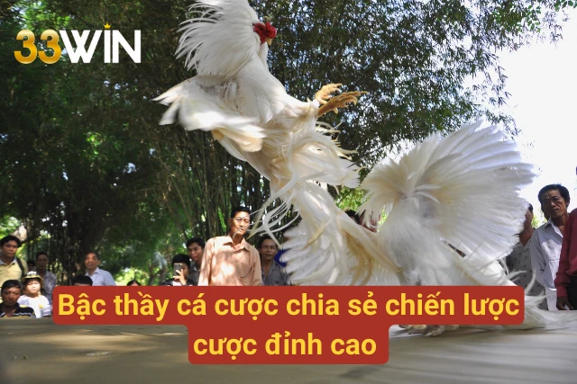 Cẩm nang cược thông minh từ cao thủ 